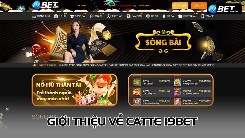 Giới thiệu về Catte I9bet