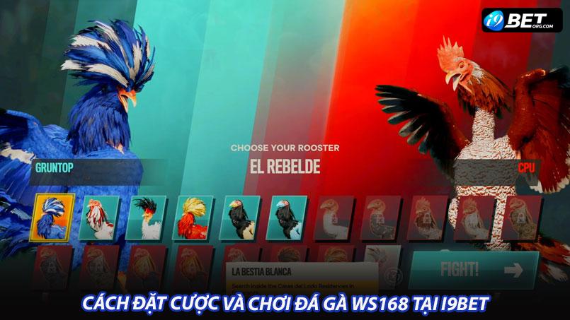 Cách đặt cược và chơi đá gà ws168 tại i9bet