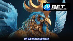 Đá gà ws168 tại i9bet