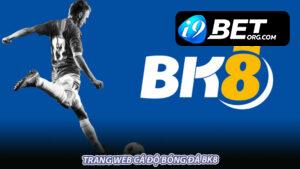 Trang web cá độ bóng đá BK8